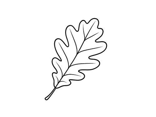 Thumbnail Ausmalbild Herbst Eichenblatt
