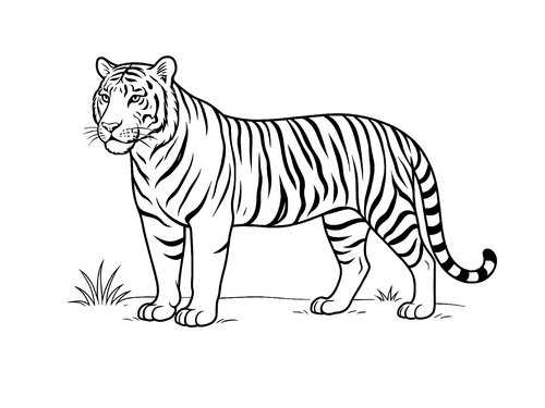 Thumbnail Ausmalbild Tiger
