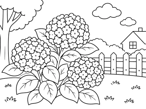 Thumbnail Ausmalbild Blumen Hortensien