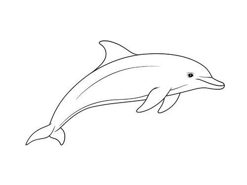 Thumbnail Ausmalbild Delfin realistisch