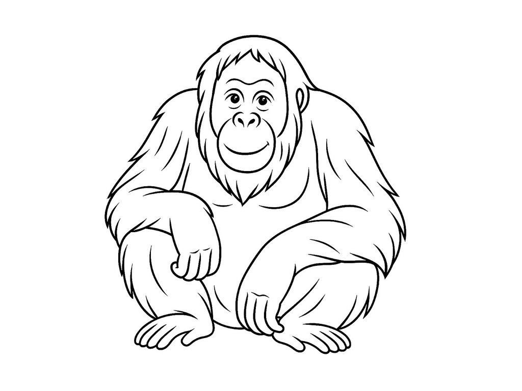 Ausmalbild Orang Utan