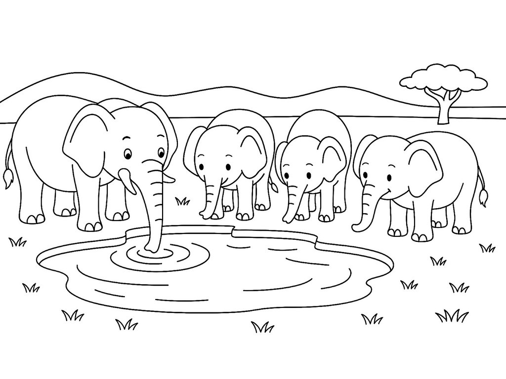 Ausmalbild Elefanten am Trinkloch