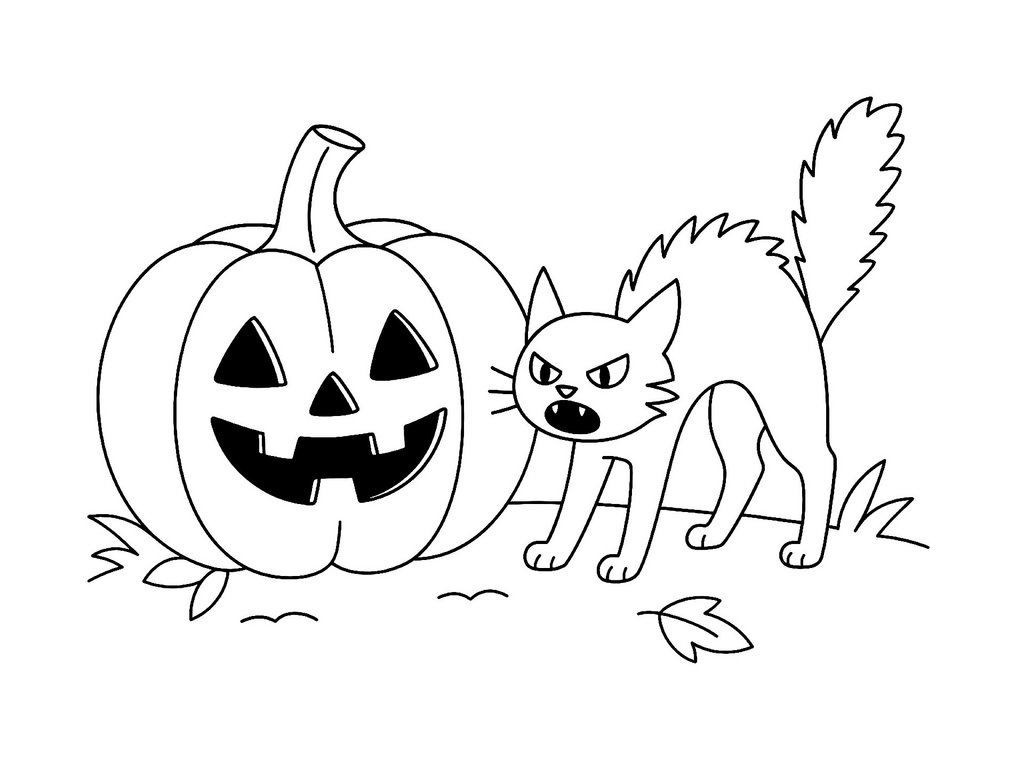 Ausmalbild Halloween Kürbis und Katze
