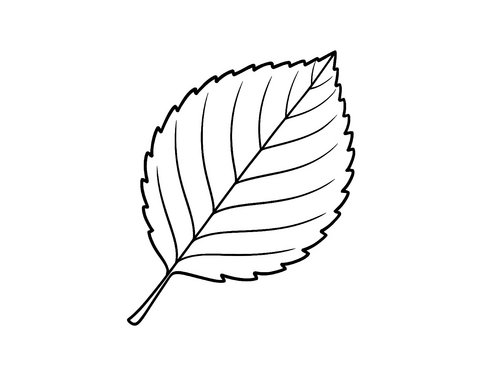 Thumbnail Ausmalbild Herbst Herbstblatt