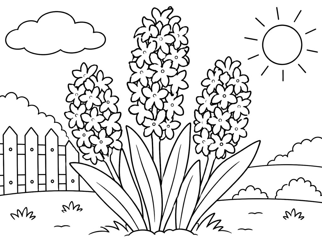 Ausmalbild Blumen Hyazinthen
