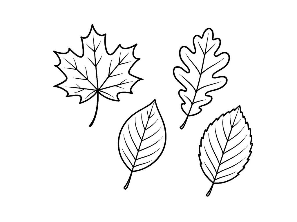 Ausmalbild Herbst Herbstblätter